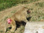 IMG_7575