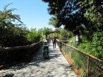 IMG_7578