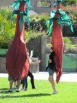 IMG_7580