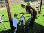 IMG_7600