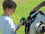 IMG_7604