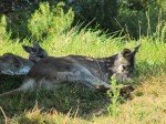 IMG_7643