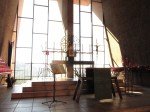IMG_8443