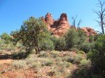 IMG_8454