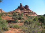 IMG_8460