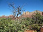 IMG_8464