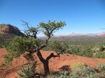 IMG_8506