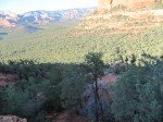 IMG_8559