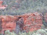 IMG_8590