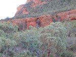 IMG_8593