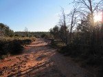 IMG_8604