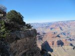 IMG_8711