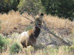 IMG_8734