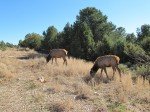 IMG_8744