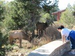 IMG_8745