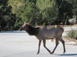 IMG_8754