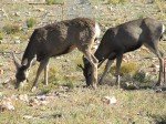 IMG_8764