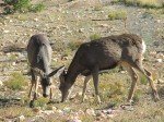 IMG_8766