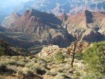 IMG_8793