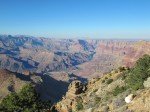 IMG_8811