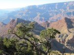IMG_8812