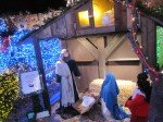 IMG_9598