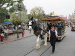 IMG_0660