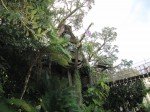 IMG_0726