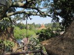 IMG_0732