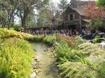 IMG_0759