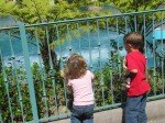 IMG_0781