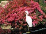 IMG_0822