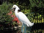 IMG_0824