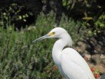 IMG_0826