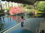 IMG_0827