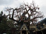 IMG_1008