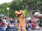 IMG_1071