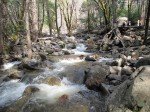IMG_1163