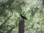 IMG_1237