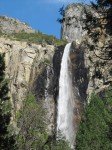 IMG_1239