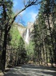 IMG_1244