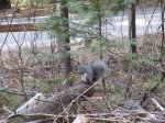 IMG_1309
