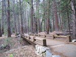 IMG_1361