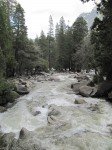 IMG_1435