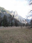 IMG_1441