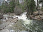 IMG_1529