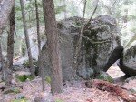 IMG_1535