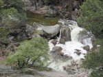 IMG_1562