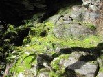 IMG_1565