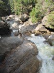 IMG_1587
